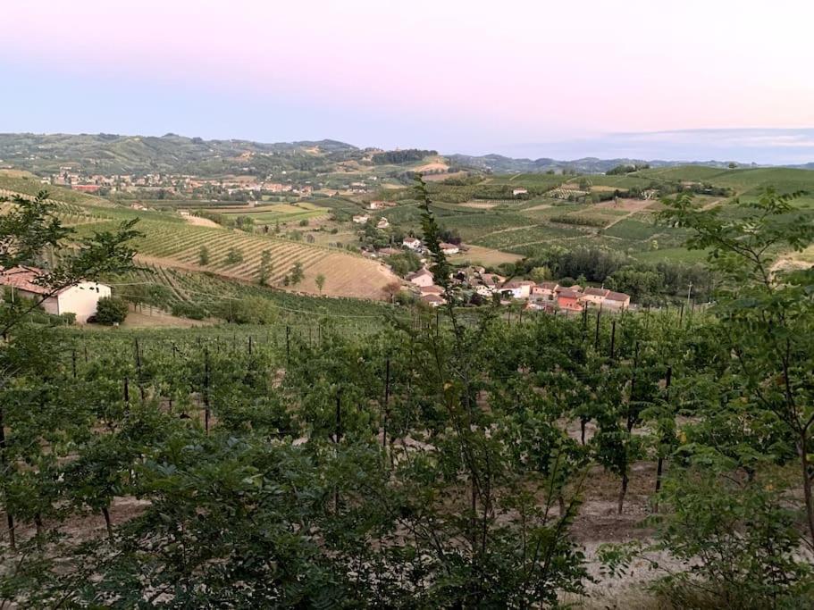 Apart-Agriturismo "La Colomba" 尼扎蒙费托 外观 照片